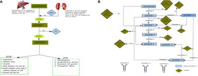 The Renin–Angiotensin System Modulates Dopaminergic Neurotransmission: A New Player on the Scene